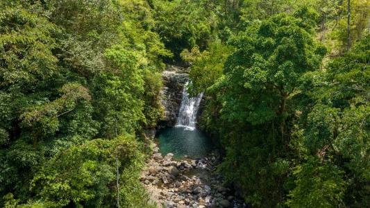 Uvita Bahía Ballena Osa, Puntarenas 00001, Costa Rica
