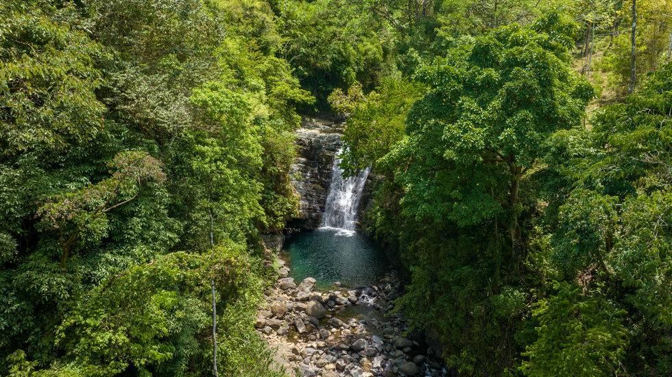 Uvita Bahía Ballena Osa, Puntarenas 00001, Costa Rica