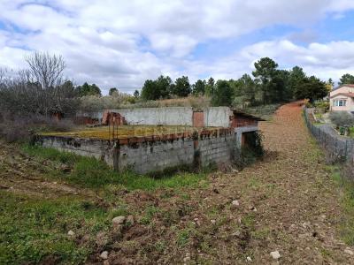 Mirandela, 布拉幹薩 5385-000, 葡萄牙