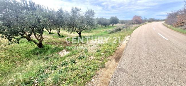 Benkovac, Tinj, Benkovac, Zadarska Županija, Croazia