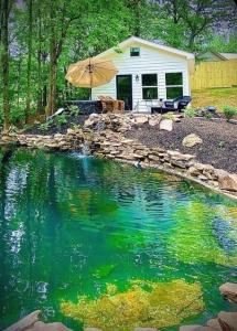 710 Lumber Company Road, Talking Rock, Georgia 30175, Stati Uniti