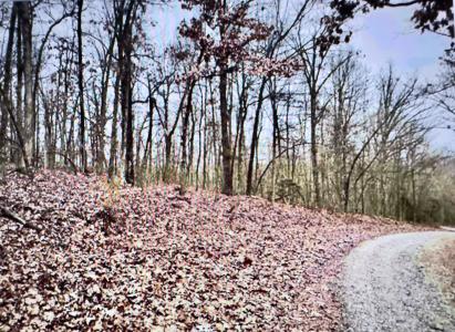 151-157 Seminole Drive, Hardy, Arkansas 72542