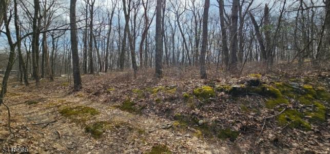 0 Upper Hibernia Rd, Rockaway Twp., NJ 07866, USA