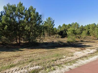 Salvaterra De Magos, Santarem 2120-064, Portugal