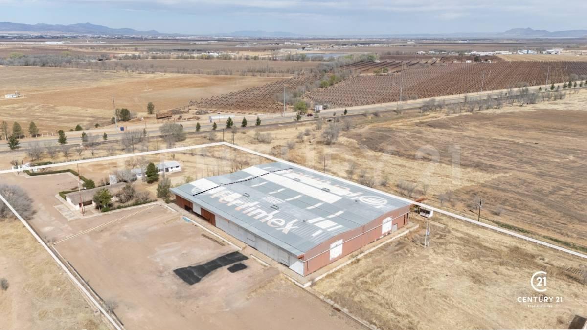 Cuauhtémoc, Chihuahua 31542, México