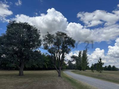 Luján, GBA Oeste 6701, 阿根廷