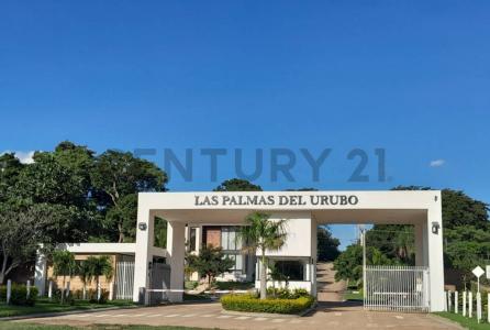 Urubo, Santa Cruz 00001, Bolivia