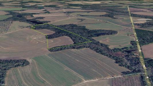 00 Union Hill Rd., Cairo, Georgia 39828, USA