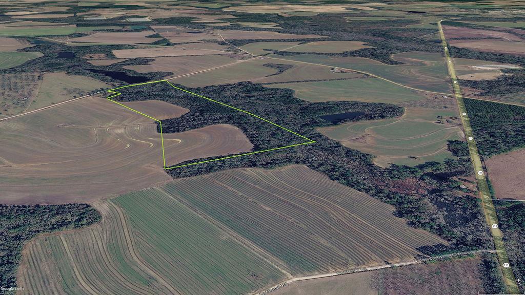 00 Union Hill Rd., Cairo, גאורגיה 39828, ארצות הברית של אמריקה