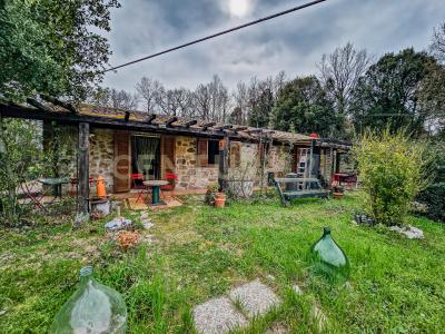 Località Camaiano snc, Roccastrada, Toscana 58036, Italia