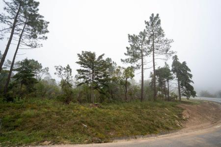 Condeixa A Nova, Coimbra 3150-001, Portugal