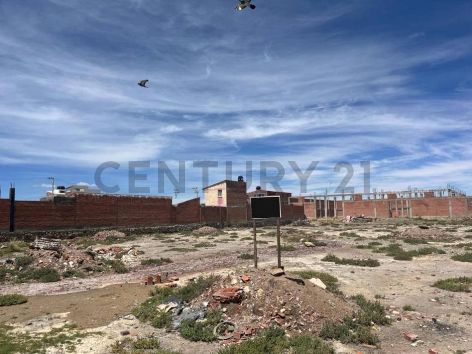 Urb. Milenium 10, Norte, Oruro 00001, Bolivie