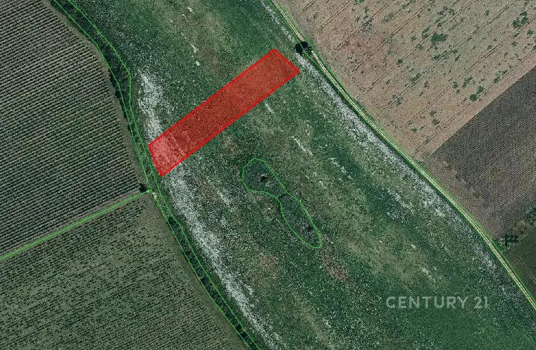 Hrušky, Břeclav 100 00, Cộng Hòa Séc