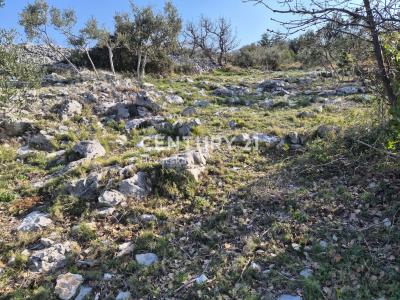 Primošten, Primošten, Šibensko-kninska Županija, クロアチア