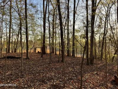 1972 Wood Valley Road, Macon, Georgia 31211, Estados Unidos