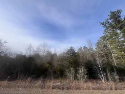 TBD Retired Ave., Marion, SC 29571, USA