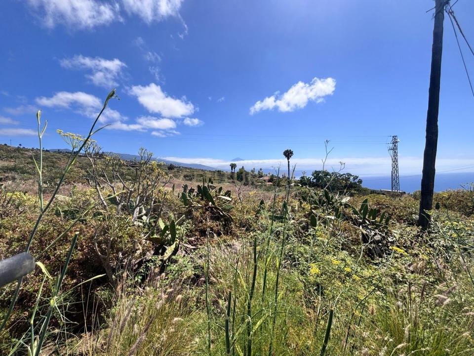 Santa Cruz De Tenerife, Canarias 38358, España