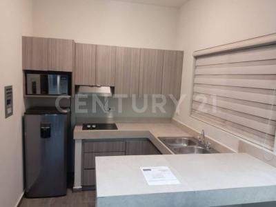 San Nicolás De Los Garza, Nuevo León 66450, Mexique