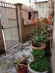 Batalla de suipacha zona villa pabon 954, La Paz, La Paz 0000, Bolivia