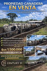 Oeste, Santa Cruz 0000, ボリビア