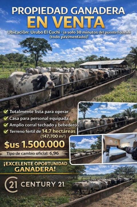 Oeste, Santa Cruz 0000, ボリビア