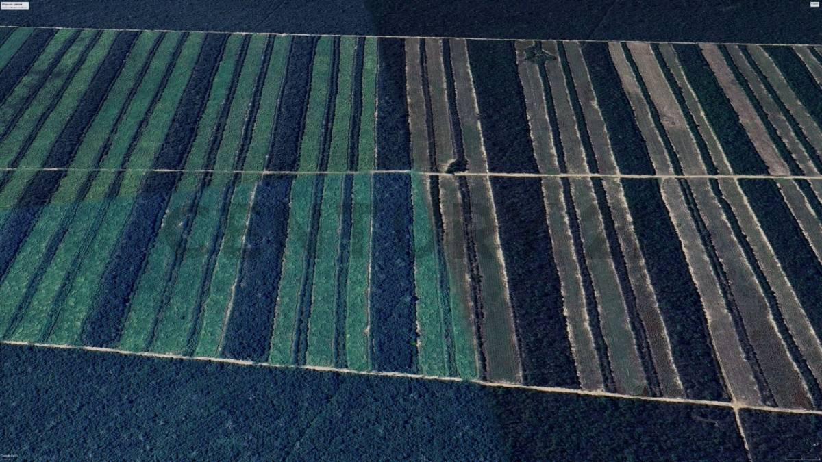 Este, Santa Cruz 00001, ボリビア