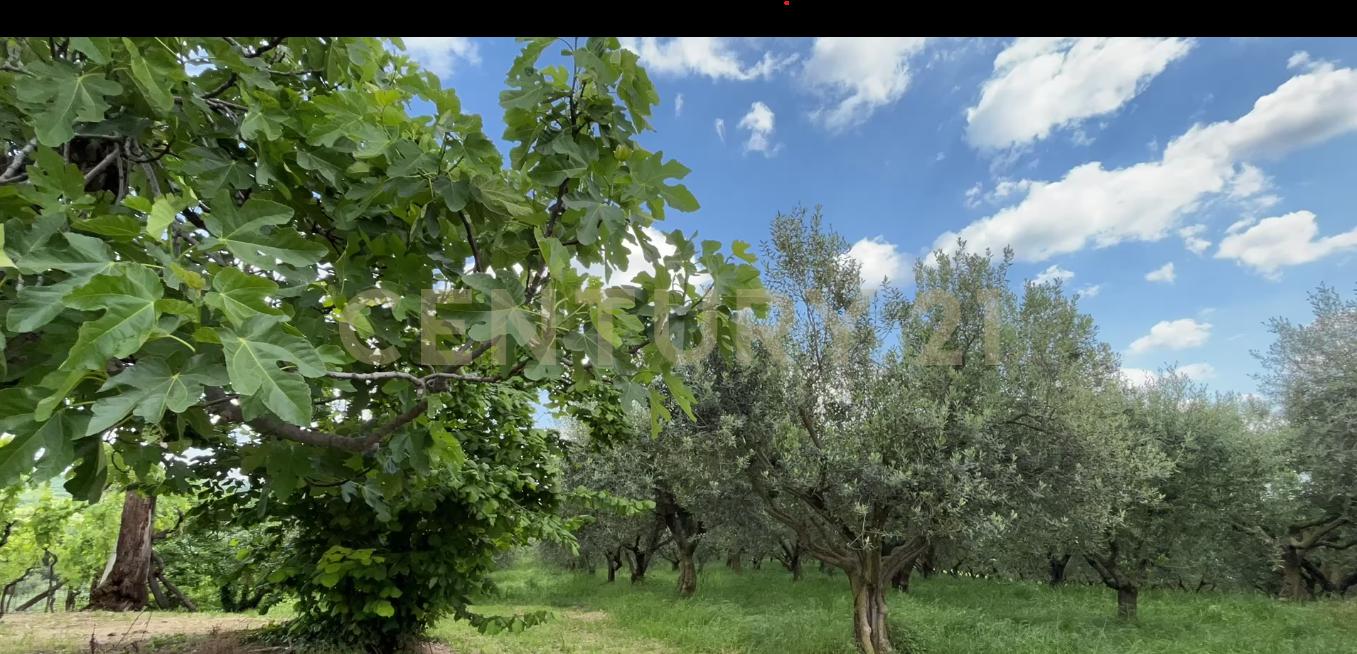 Via Postuman, Mezzane Di Sotto, 威尼托 37030, 意大利