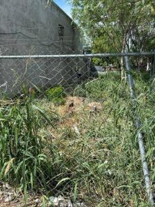 Guadalupe, Nuevo León 67190, Mexique