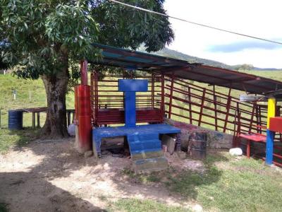 San Rafael Del Piñal, Táchira 00001, ונצואלה 