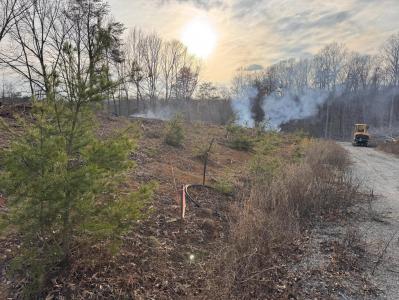 100 Pine Hollow Rd, Nancy, Kentucky 42544, Amerika Birleşik Devletleri