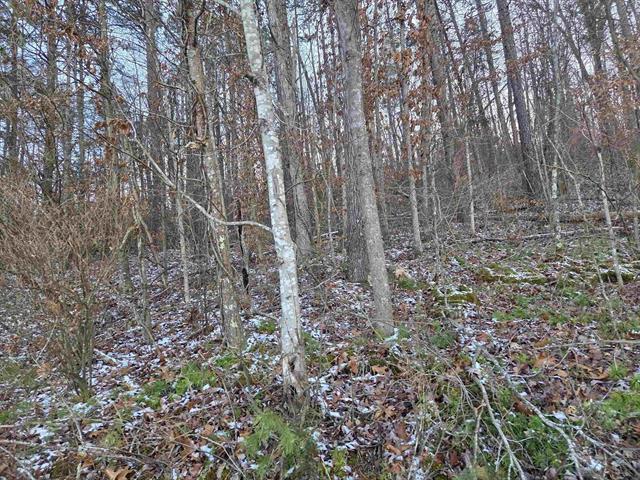 D Street, Louisa, Кентуки 41230, Соединенные Штаты