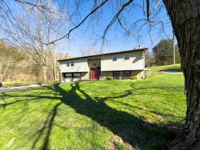 1747 Holts Creek (Entire Farm) Road, Foster, Kentucky 41043, USA