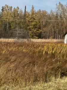 4365 W M48, Pickford, Michigan 49774, Stati Uniti