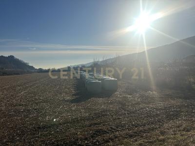 Via Don Giovanni Calabria, Tregnago, Veneto 37039, איטליה