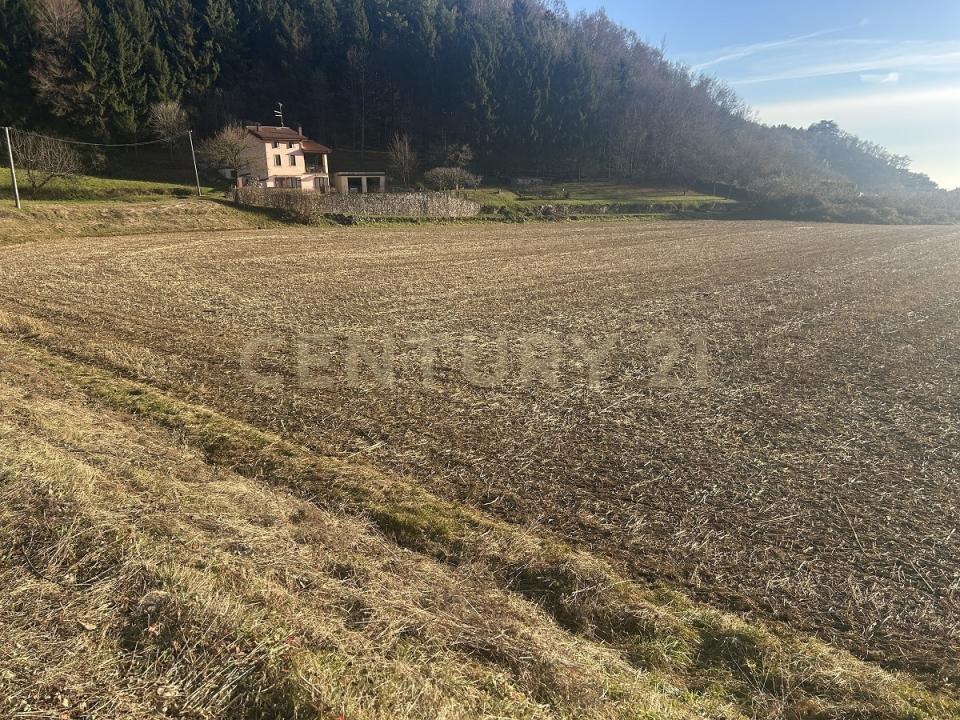 Via Don Giovanni Calabria, Tregnago, Wenecja Euganejska 37039, Włochy