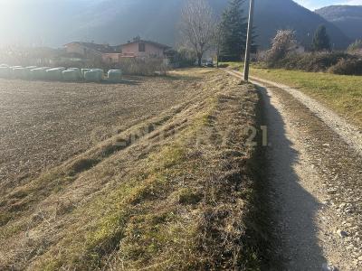 Via Don Giovanni Calabria, Tregnago, Veneto 37039, איטליה