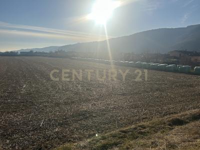 Via Don Giovanni Calabria, Tregnago, Veneto 37039, איטליה