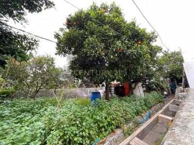 Entroncamento, Santarem 2330-151, Portugal