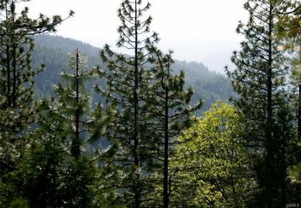 7486 Henness Ridge, Yosemite West, Kalifornien 95389, USA