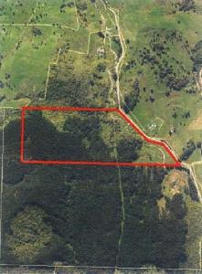 453 Wekaweka Road, Waimamaku, Far North District 0473, New Zealand