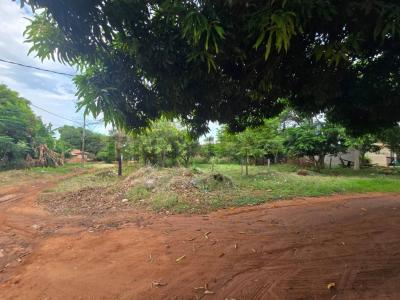 15 de noviembre y esquina sin nombre 0, Julián Augusto Saldívar, Centralne 00001, Paragwaj