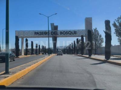 Cedro de Alaska mz 2 lote 2,, Tecámac, Stato Del Messico 55767, Messico