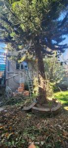 CDA. MOJONTITLA 10,, Tecámac, État De Mexico 55760, Mexique