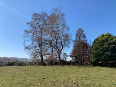 Cautín, Región De La Araucanía 00001, Chile