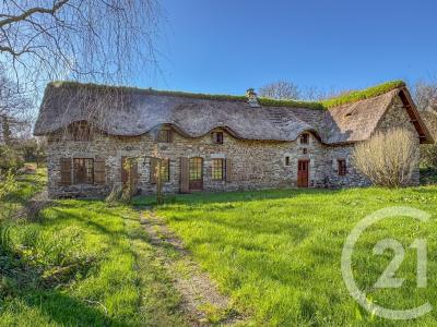 Le Mesnil, Basse-Normandie 50580, Frankreich