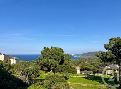 Corbara, Corse 20256, 프랑스