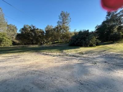 1631 Long Hollow Drive 1631, Coarsegold, California 93614, USA