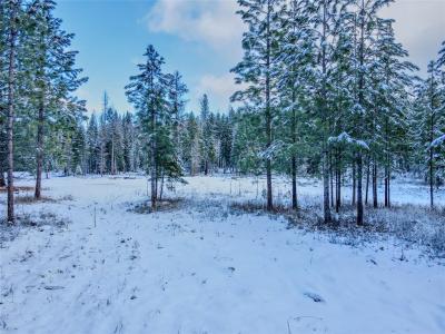 Lot  2C Liberty Lane, Libby, Montana 59923, USA