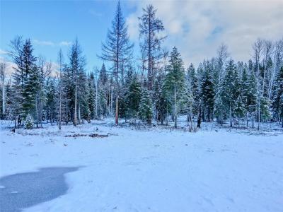 Lot 2 D Liberty Lane, Libby, Montana 59923, USA