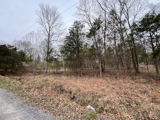 Lot 1234 Indian Camp Dr, Goreville, イリノイ 62939, アメリカ合衆国